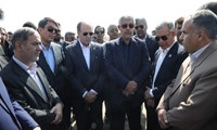 وزیر جهاد کشاورزی از مزارع سیب زمینی و پیاز در منطقه جنوب کرمان بازدید کرد